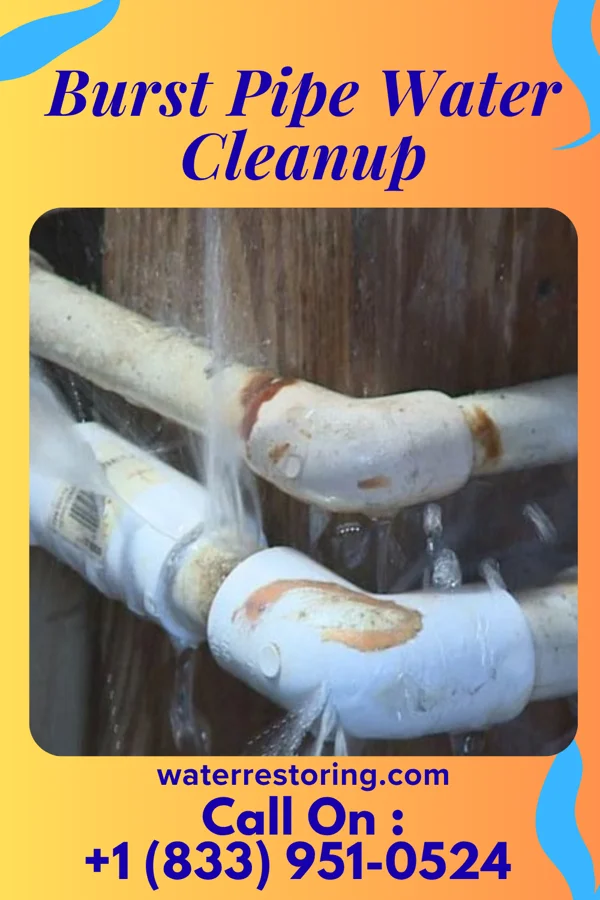 Burst Pipe Water Cleanup in Dillsboro, IN