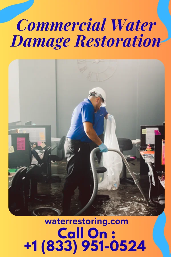 Commercial Water Damage Restoration in Dillsboro, IN
