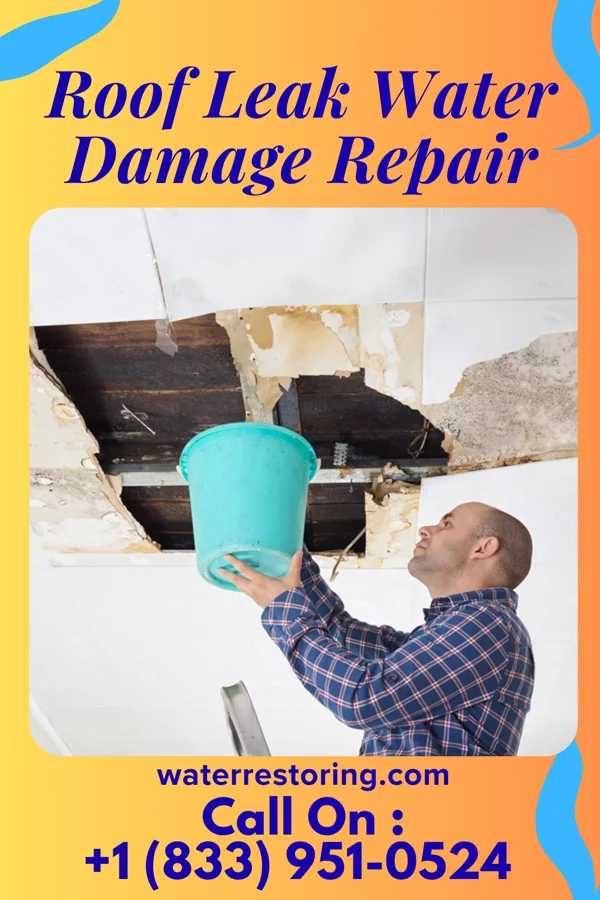 Roof Leak Water Damage Repair in Dillsboro, IN