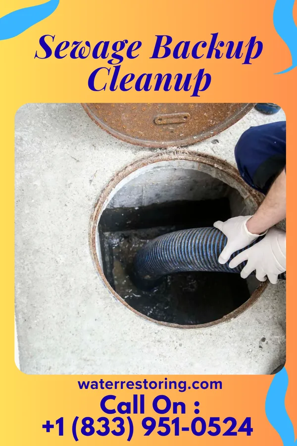 Sewage Backup Cleanup in Dillsboro, IN