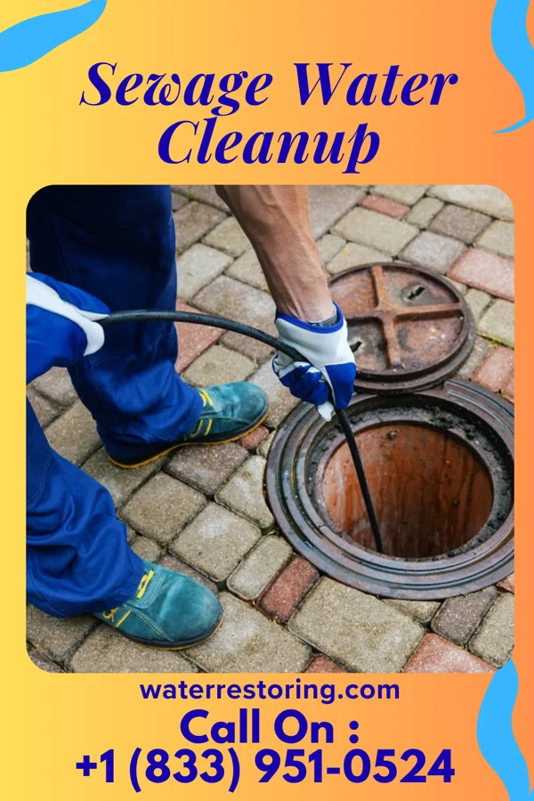 Sewage Water Cleanup in Dillsboro, IN